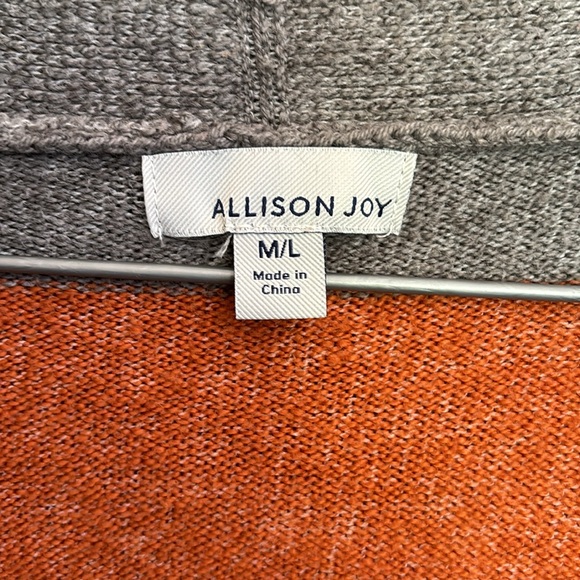 Allison Joy Cozy Fall Color Blocked Long Sweater - Picture 2 of 7